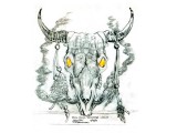 Bull Skull